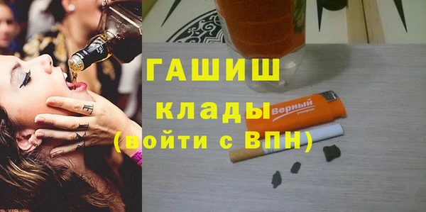 хмурый Алексин