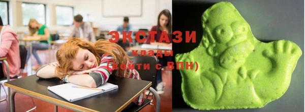 хмурый Алексин