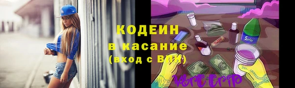хмурый Алексеевка