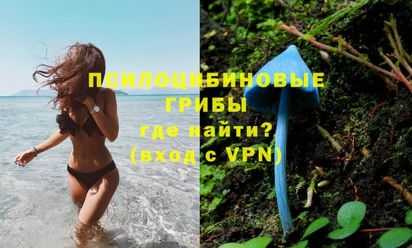 хмурый Алексеевка