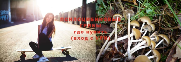 хмурый Алексеевка