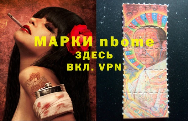 хмурый Алексин