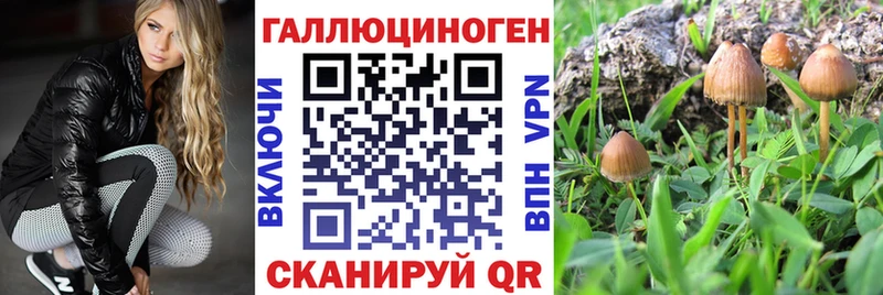 Псилоцибиновые грибы Psilocybe  Дрезна 